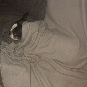 Meet your Posher, Phyllis